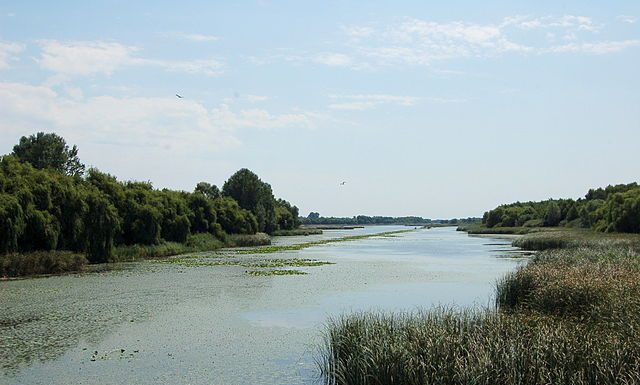Kis-Balaton