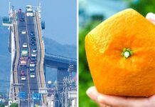 15 meghökkentő dolog, ami bizonyítja, hogy Japán vagy 100 lépéssel a világ előtt jár